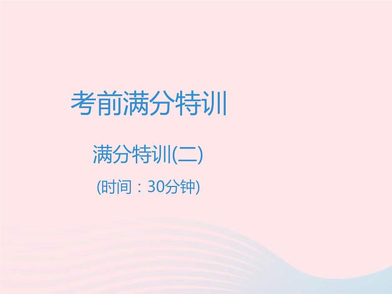 中考语文二轮复习高分突破满分特训2课件（含答案）01