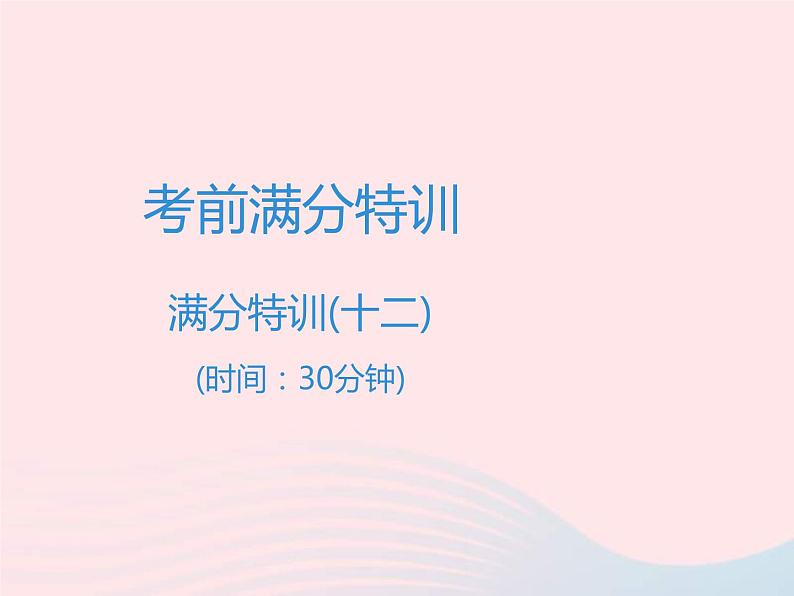 中考语文二轮复习高分突破满分特训12课件（含答案）01
