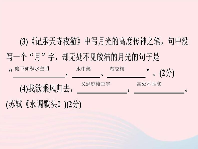 中考语文二轮复习高分突破满分特训13课件（含答案）03