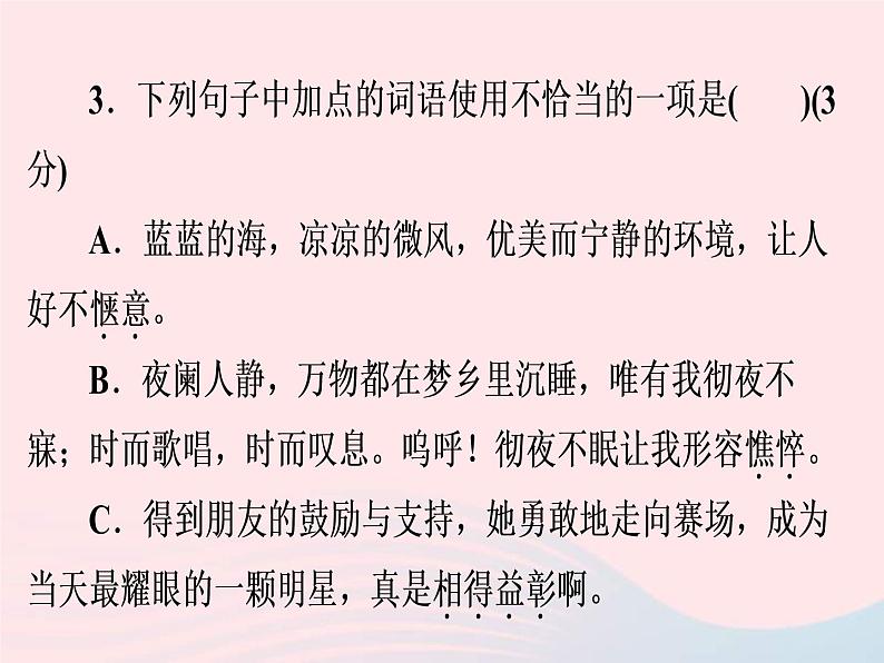 中考语文二轮复习高分突破满分特训13课件（含答案）07