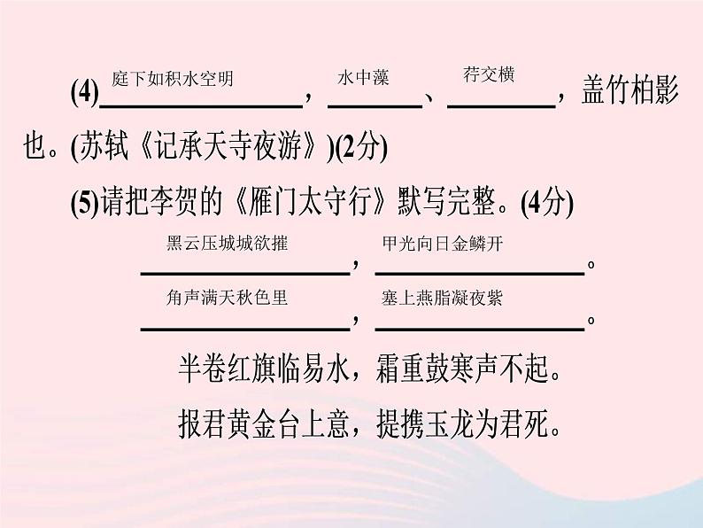 中考语文二轮复习高分突破满分特训17课件（含答案）第3页