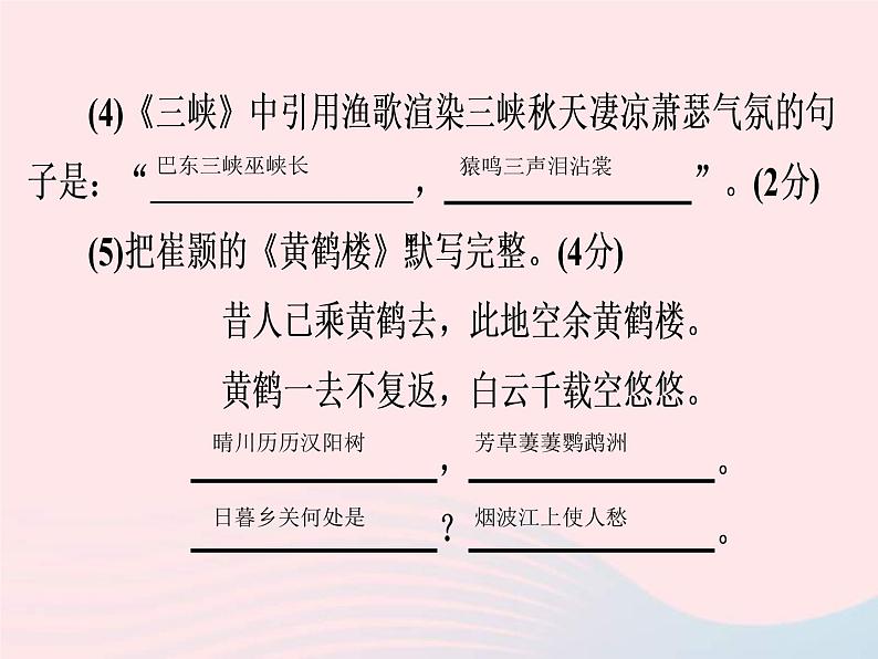 中考语文二轮复习高分突破满分特训18课件（含答案）03