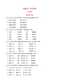 专题01 字音字形-3年（2018-2020））中考1年模拟语文试题分项详解（全国通用）（原卷版)