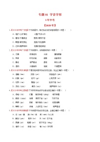 专题01 字音字形-3年（2018-2020））中考1年模拟语文试题分项详解（全国通用）（原卷版)