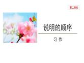 第二单元写作《说明的顺序》教学课件   八年级语文下册（部编版）