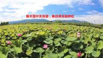 人教部编版七年级下册爱莲说教学课件ppt