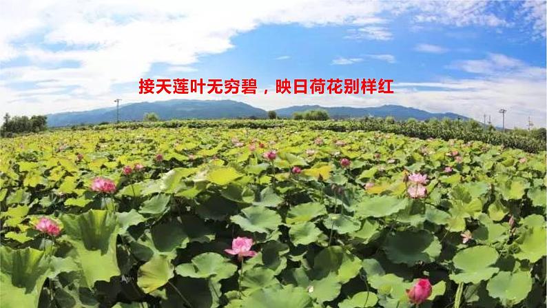 17 《短文两篇—爱莲说》（22张）-2021-2022学年部编版语文七年级下册课件PPT第1页