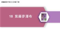 初中语文人教部编版七年级下册18 紫藤萝瀑布课堂教学课件ppt