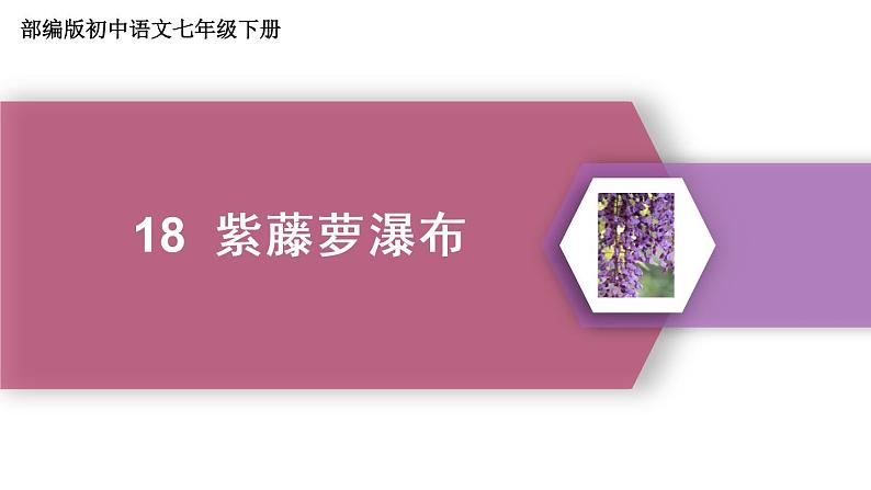 第18课《紫藤萝瀑布》（17张）-2021-2022学年部编版语文七年级下册课件PPT第1页
