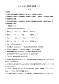 精品解析：2020年山东省临沂市平邑县中考二模语文试题（解析版+原卷版）