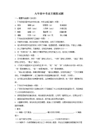 精品解析：2020年山东省临沂市临邑县中考二模语文试题（解析版+原卷版）