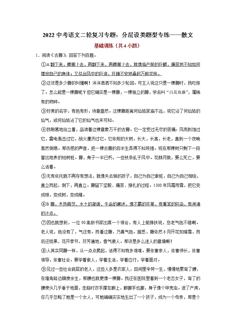 2022中考语文二轮复习专题：分层设类题型专练——散文第1页