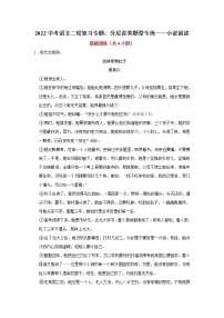 2022中考语文二轮复习专题：分层设类题型专练——小说阅读