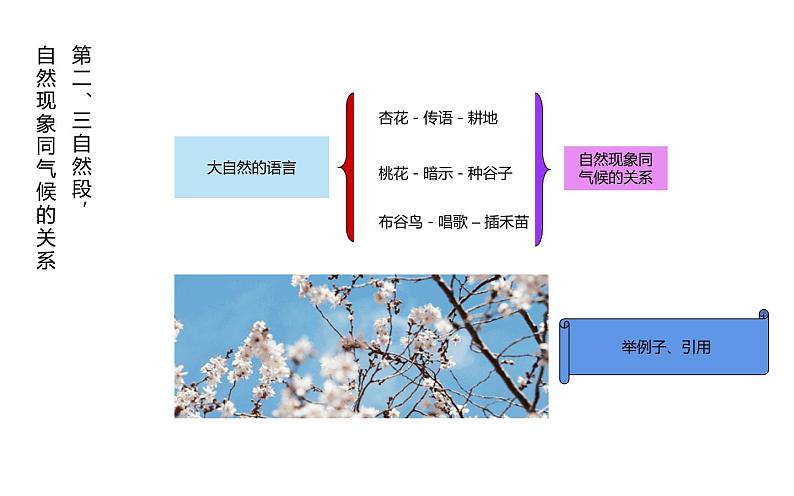 第5课《大自然的语言》（21张）-2021-2022学年部编版语文八年级下册课件PPT第7页