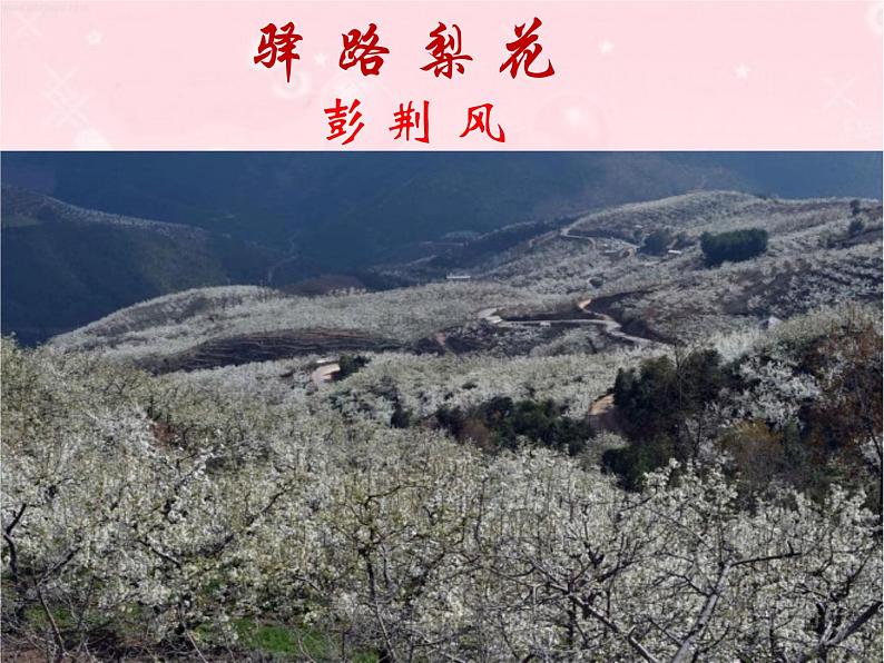 部编版七年级语文下册精品课件----驿路梨花2第4页