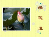 人教部编版爱莲说教学课件ppt