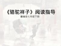 2021学年名著导读《骆驼祥子》：圈点与批注课文课件ppt