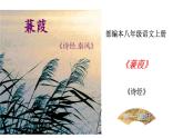 部编版八年级语文下册----12《诗经》二首《蒹葭》课件+素材