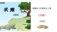 语文八年级下册关雎说课ppt课件