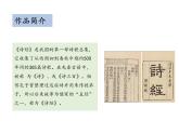 部编版八年级语文下册----12.2 蒹葭（教学课件）