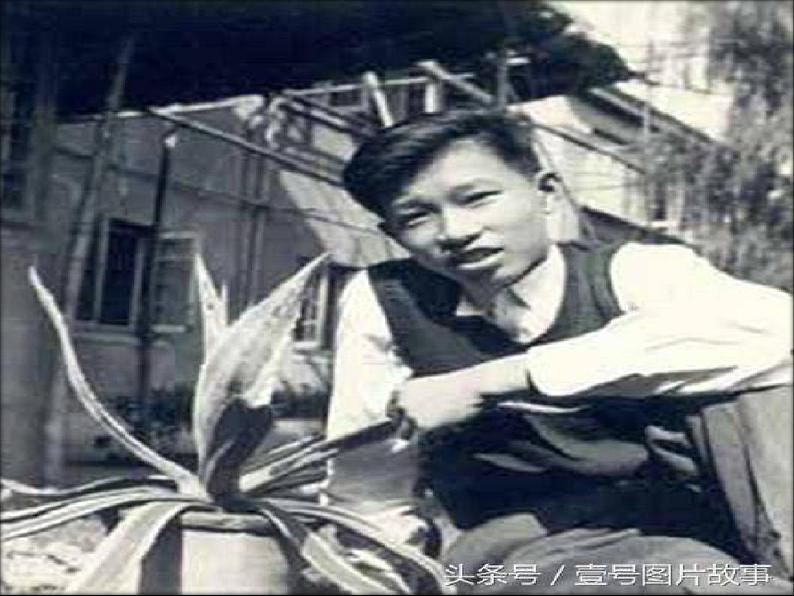 部编版八年级语文下册优质课件----《学写读后感》 1第7页