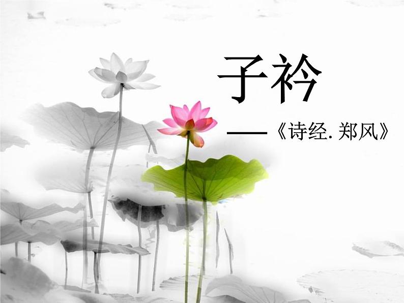 部编版八年级语文下册优质课件----《子衿》1第1页