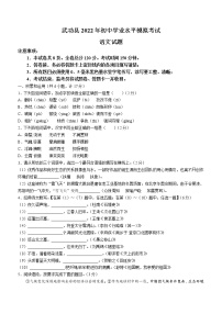 2022年陕西省咸阳市武功县初中中考一模语文试题
