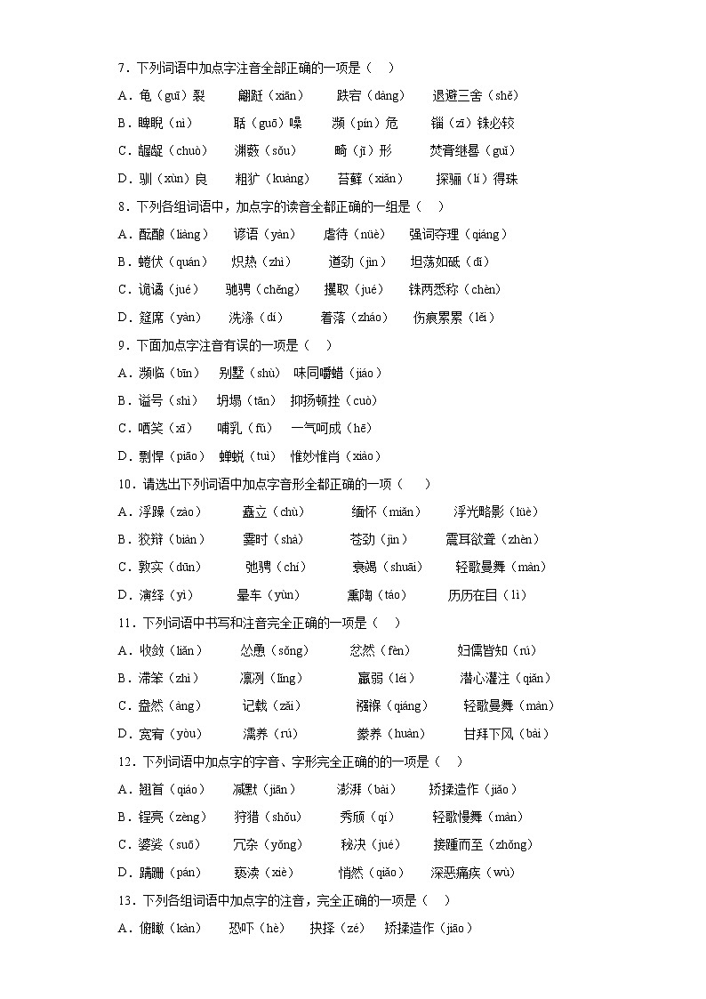 2022年中考语文二轮专题复习：字音第2页