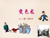 人教部编版九年级下册6 变色龙课前预习课件ppt