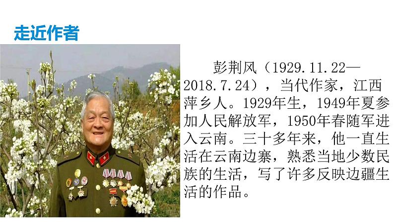 部编版七年级语文下册----15《驿路梨花》课件第4页