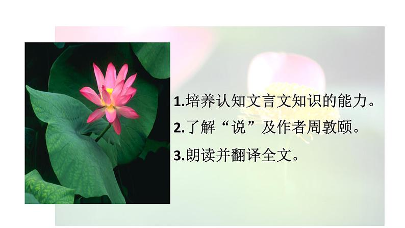 17 短文两篇第3页