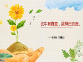 人教部编版九年级下册《无言之美》课件