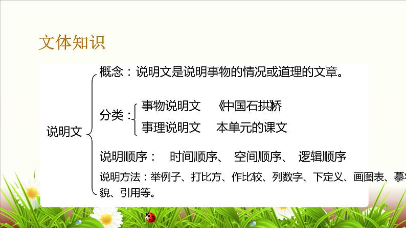 人教版部编版八年级下册《大自然的语言》教学课件第4页