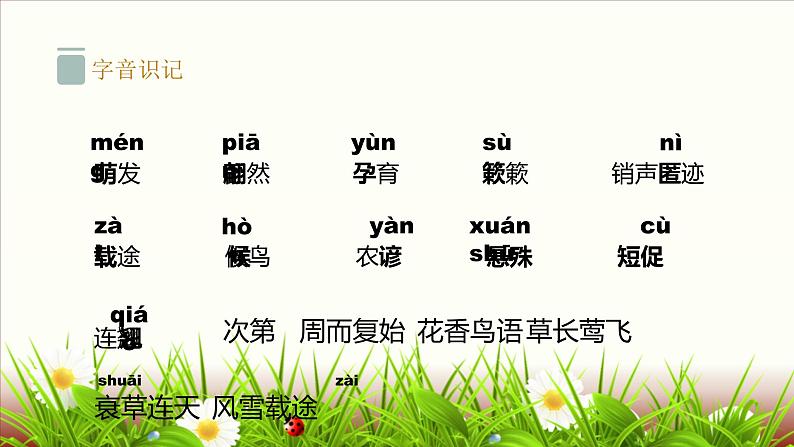 人教版部编版八年级下册《大自然的语言》教学课件第5页