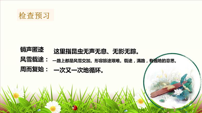 人教版部编版八年级下册《大自然的语言》教学课件第6页