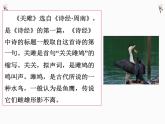 八年级语文下册第三单元《诗经二首》课件