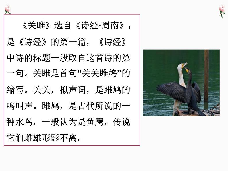 八年级语文下册第三单元《诗经二首》课件05