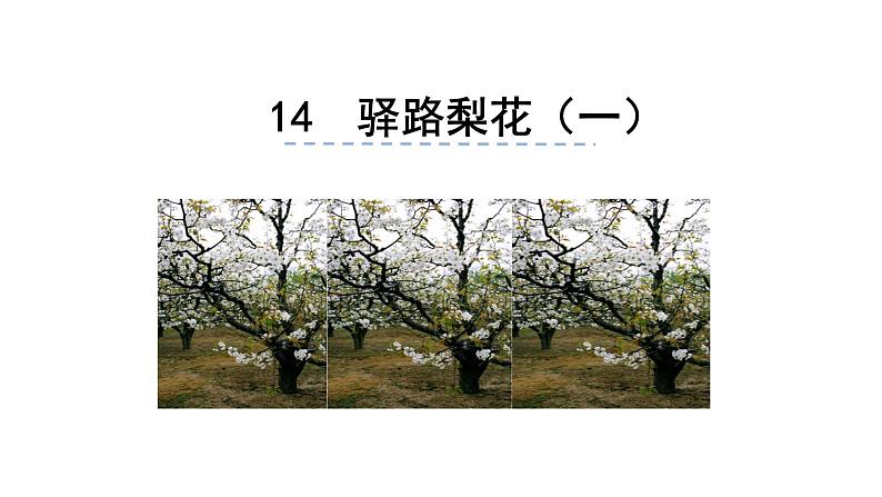 15 驿路梨花 -2021-2022学年部编版语文七年级下册课件PPT第1页