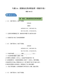专题14：爱国忧民类诗歌复习（模拟专练）2022年中考语文二轮复习讲练测