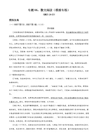专题06：散文阅读（模拟专练）2022年中考语文二轮复习讲练测