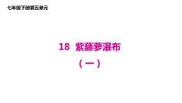 初中语文人教部编版七年级下册18 紫藤萝瀑布图文课件ppt