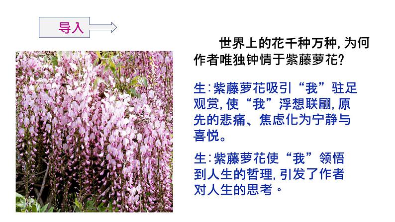 18《紫藤萝瀑布》 课件-2021-2022学年部编版语文七年级下册第6页