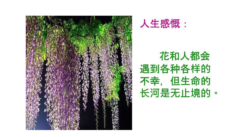 18《紫藤萝瀑布》 课件-2021-2022学年部编版语文七年级下册第8页