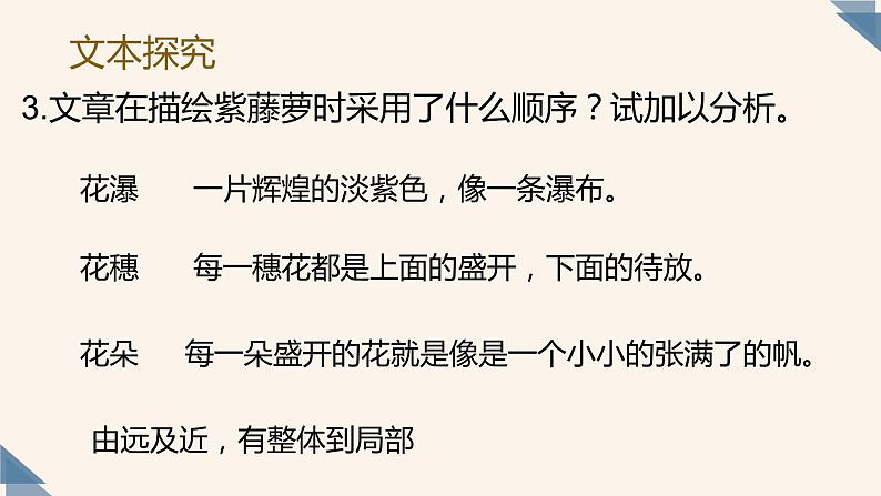 人教部编版七年级下册《紫藤萝瀑布》同课异构教学课件第8页