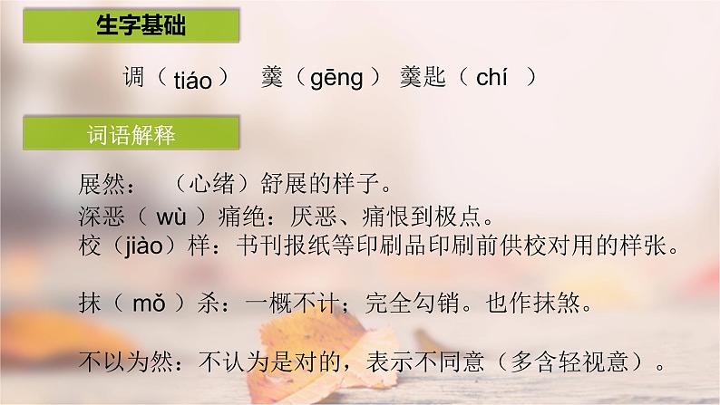 人教部编版七年级下册《回忆鲁迅先生（节选）》同课异构教学课件第4页