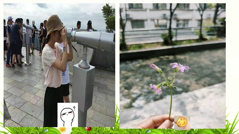 景物描写在记叙文写作中的应用教学课件第3页