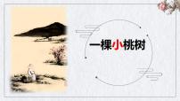 2021学年19* 一棵小桃树教课课件ppt