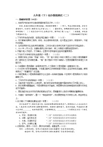 九年级下册综合模拟测试(二)（含答案）