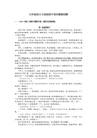 九年级语文小说阅读专项突破（含答案）练习题