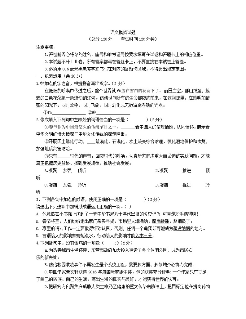 人教版初中语文九年级中招模拟试卷 (5)第1页